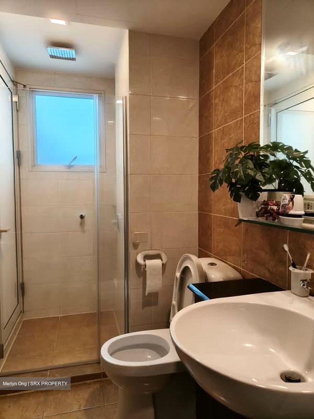 Lilydale (D27), Condominium #567676461